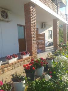 a group of potted plants on a patio at Grand Seaview Apartments in Ksamil