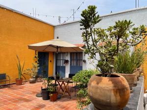 een patio met een tafel, een parasol en planten bij Casa Arrayan in Guadalajara