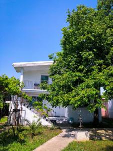 a white house with a tree in front of it at Renata Holiday Apartments in Ulcinj