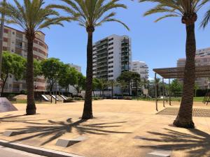 grupa palm w parku z budynkami w obiekcie Apartamento Ca Batallera Playa Gandia w mieście Playa de Gandia