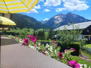Paesaggio naturale nelle vicinanze dell'appartamento