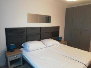 Apartament Dolny Sopot في سوبوت: غرفة نوم بسرير كبير مع وسادتين