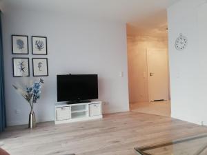 Televízia a/alebo spoločenská miestnosť v ubytovaní Apartament Dolny Sopot