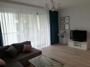 Televízia a/alebo spoločenská miestnosť v ubytovaní Apartament Dolny Sopot