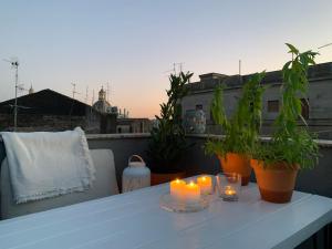 Balkón alebo terasa v ubytovaní HOMESTAY rooftop