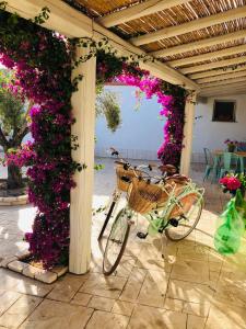 uma bicicleta estacionada sob uma pérgola com flores roxas em Domus Deiana Case Vacanza em San Giovanni Suergiu