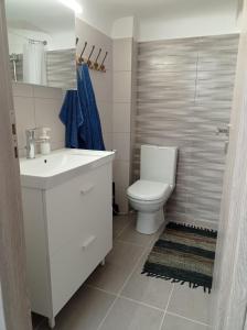 a bathroom with a toilet and a sink and a shower at CENTRAL TOWN HOUSE 60m2**** in Piraeus +17 photos