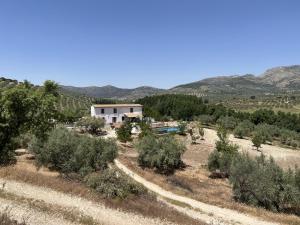 dom na środku pola z drzewami w obiekcie Alojamiento Rural Cortijo Alameda, Las Lagunillas w mieście Priego de Córdoba