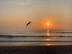 um pássaro a voar sobre a praia ao pôr-do-sol em My Little Beach House em Praia da Barra