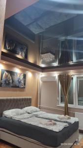 札耶查爾的住宿－Iva Lux apartman，一间卧室配有一张蓝色天花板的床