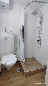 Kopalnica v nastanitvi Iva Lux apartman