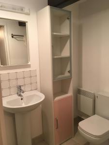 uma casa de banho com um lavatório e um WC em Au Bol d'Éire em Montreuil-sur-Brêche