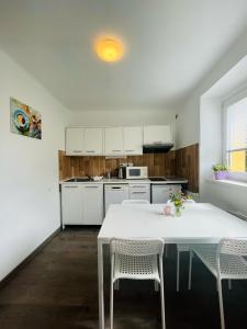 Kuchyňa alebo kuchynka v ubytovaní Apartmán Galerie - Lipno nad Vltavou
