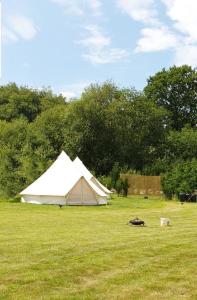 ein weißes Zelt auf einem Grasfeld in der Unterkunft Glamping in the Kent weald nr Tenterden Spacious quite site up to 6 equipped tents, each group has their own facilities Tranquil and beautiful rural location yet just an hour to London in Tenterden