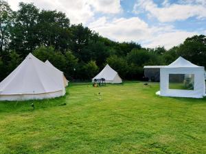 eine Gruppe von Zelten auf einem Feld mit Bäumen in der Unterkunft Glamping in the Kent weald nr Tenterden Spacious quite site up to 6 equipped tents, each group has their own facilities Tranquil and beautiful rural location yet just an hour to London in Tenterden