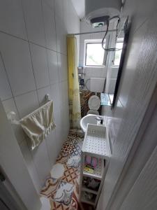 a small bathroom with a toilet and a sink at Apartment Nature in Sutomore