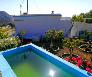 une petite piscine dans un jardin fleuri dans l'établissement Rou Garden House, à Karpathos