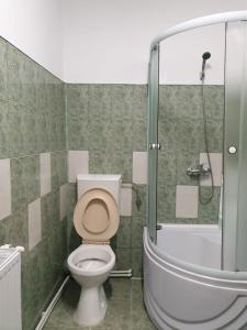 uma casa de banho com um WC e um chuveiro em Casa Mary em Costinesti