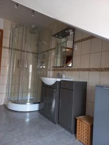 a bathroom with a sink and a shower at maison chaleureuse solognote mitoyenne in La Ferté-Saint-Aubin