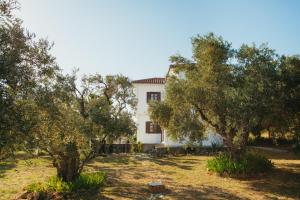 Zahrada ubytování Βίλλα Φανούλα Villa Fanoula