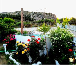 d'un jardin avec des fleurs colorées et une clôture. dans l'établissement Rou Garden House, à Karpathos