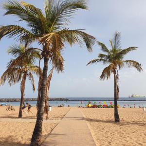 two palm trees on a beach with a sidewalk at Las Teresitas Apartment in San Andrés