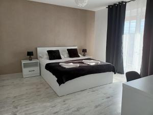1 dormitorio con 1 cama grande en blanco y negro en Cozy Apartments, en Timisoara