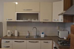 Kuchyň nebo kuchyňský kout v ubytování Apartman Martina