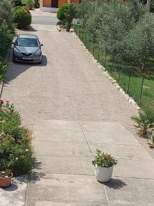 Vonkajšia záhrada v ubytovaní Kuća Magnolija