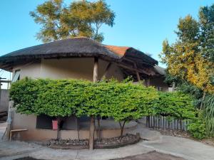 Zahrada ubytování La Kontana Lifestyle