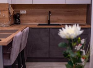 Kuchyňa alebo kuchynka v ubytovaní Apartmani Dalmacija Drage
