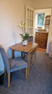 drewniany stół i krzesło z rośliną w obiekcie Koi Pond Annex w mieście Coleford