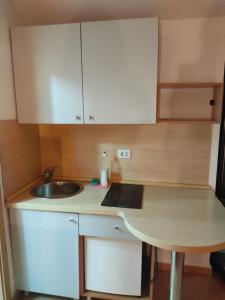 a small kitchen with a sink and a counter at Apartments Mare Budva in Budva