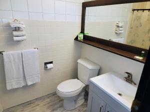 a bathroom with a toilet and a sink and a mirror at Skyview Motel - Prairie du Sac in Prairie du Sac