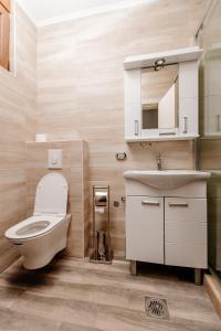 uma casa de banho com um WC e um lavatório em Bungalow Holiday em Plužine