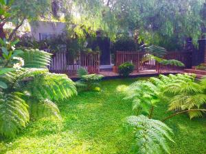 un jardín con plantas verdes y una valla de madera en Estudio Lissy, en Jedey