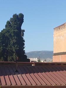 a building with a large tree in the background at Chez Moi rooms in Cagliari