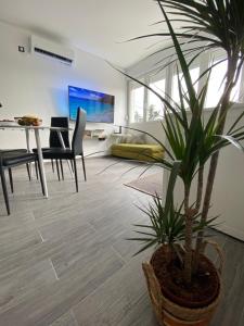 a living room with a potted plant on the floor at Apartment Centar Višnjik, Zadar in Zadar +40 photos