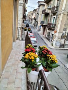 un balcón con flores en macetas en una calle de la ciudad en Beatrice Apartment con 1camera da letto, un soggiorno cucina e bagno en Scordia