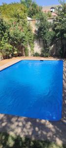 a large blue swimming pool in a yard at Mondrian Santiago in Santiago