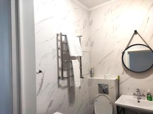 La salle de bains est pourvue de toilettes, d'un lavabo et d'un miroir. dans l'établissement Loftik Apartments Shevchenko street, à Almaty