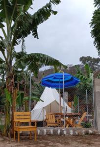 a bench and a blue umbrella and a tent at Tipis Ya' in San Pedro La Laguna