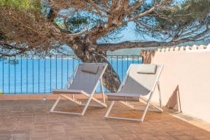 Táj Show holiday homes közelében