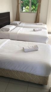 a group of four beds in a room at SENTA Adventure Camp & Resort in Kampong Minyak Beku