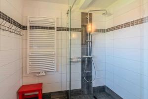 a shower with a glass door in a bathroom at schöne Ferienwohnungen am Lobber Deich in Lobbe