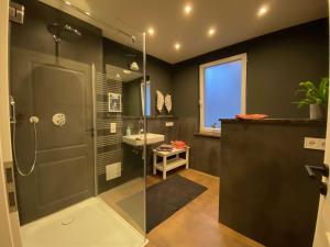 a bathroom with a shower and a sink at Ferienwohnung Heideviertel in Wernigerode