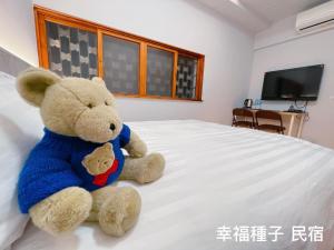 幸福种子的电视和/或娱乐中心