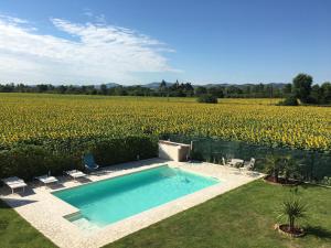 a swimming pool in front of a field of flowers at il leccio in San Lazzaro di Savena