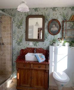 ein Badezimmer mit einem Waschbecken, einem WC und einem Spiegel in der Unterkunft Maison Léontine in Bernay