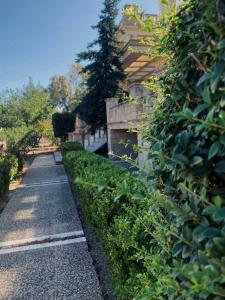 um caminho de jardim ao lado de uma casa com arbustos em Seaside "Stone & Light Villa II" close to Aegina City em Khlóï